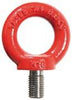 Ringschraube NEUTRAL,  fix TK 10000kg, DxL M27x45