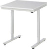 Arbeitstisch RAU,  Serie adlatus 150 B750 x T800 x H720-1020